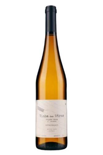 Azores Wine Company