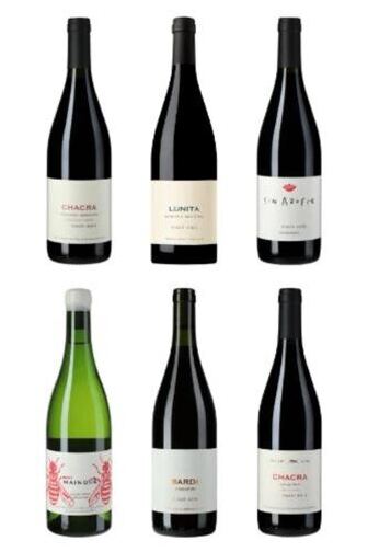 Chacra - Das Überflieger Weingut aus Patagonien
