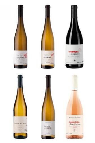 Degustations-Box Portugal