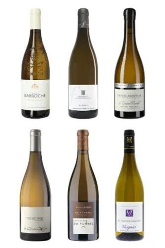 Geniale Weissweine aus dem Rhône-Tal
