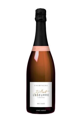 Champagne Brut Rosé NV