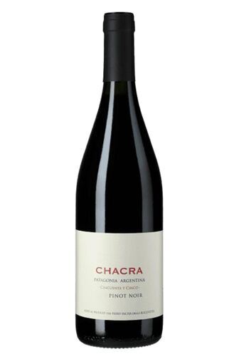 2023 Cincuenta y Cinco