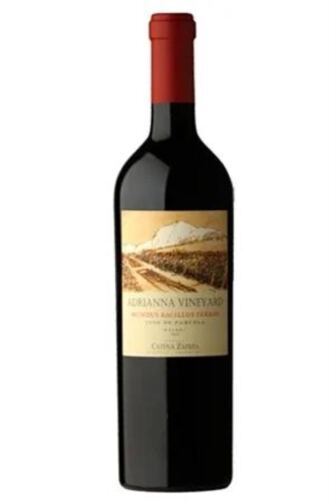 2022 Adrianna Vineyard Mundus Bacillus Terrae