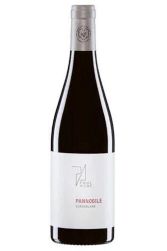 2017 Pannobile