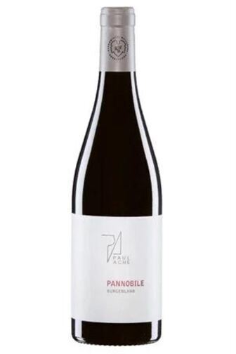 2017 Pannobile