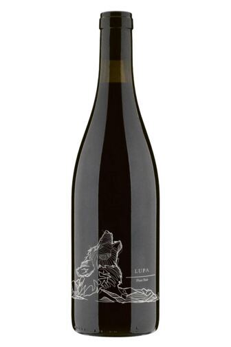 2020 Lupa Pinot Noir