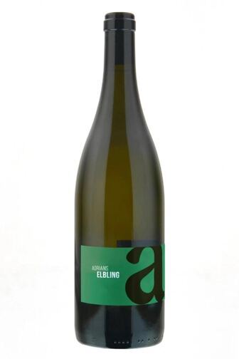 2023 Elbling