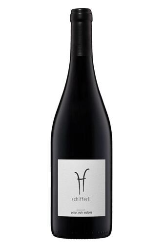 2023 Pinot Noir Malans