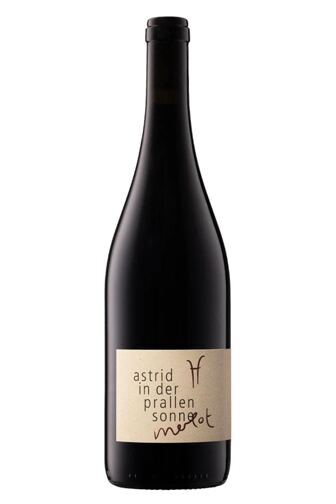 2023 Merlot - Astrid in der prallen Sonne
