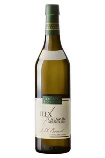 2023 Ilex Calamin