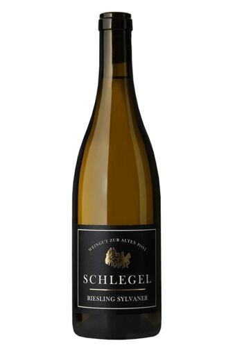 2025 Riesling-Silvaner