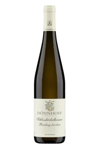 2024 Schlossböckelheimer Riesling