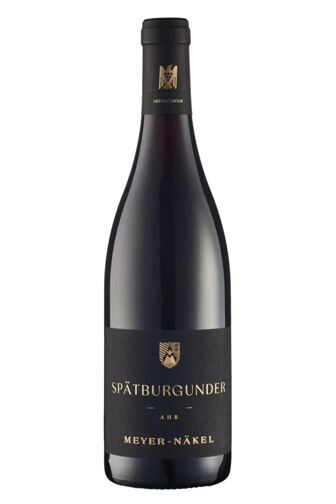 2023 Spätburgunder