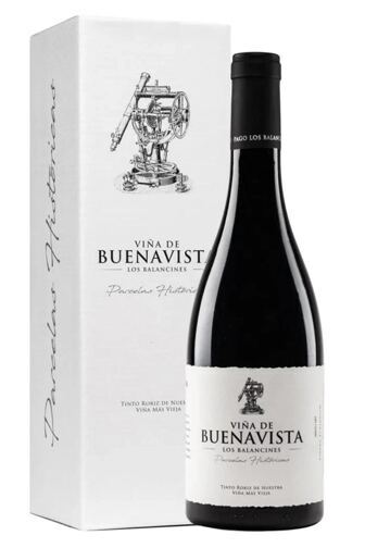 2017 Viña de Buenavista Parcelas Historicas