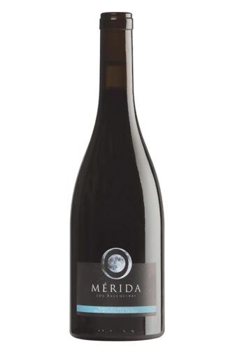 2018 Mérida