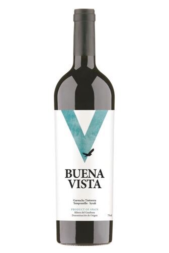 2022 Buenavista