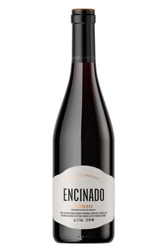 2022 Encinado
