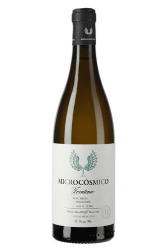 2024 Microcósmico Macabeo