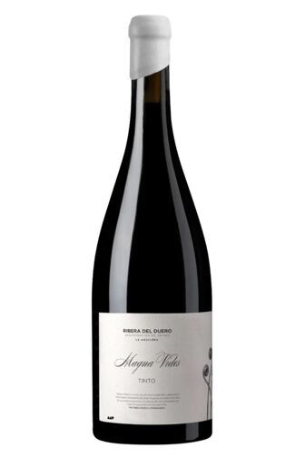 2023 Magna Vides Tinto