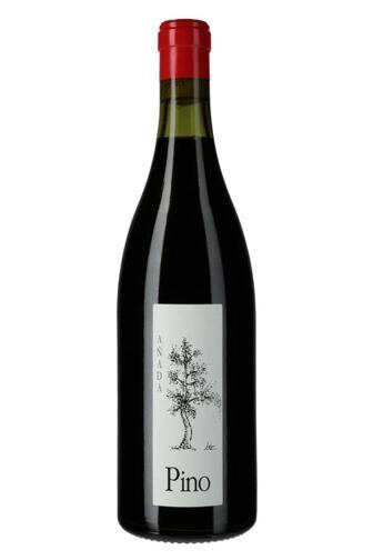 2024 Pino