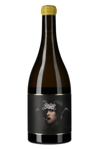 2025 Marko Terlegiz