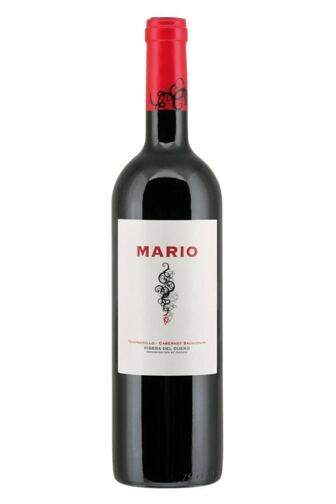 2022 Mario