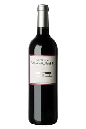 2023 Château Cap de Faugères