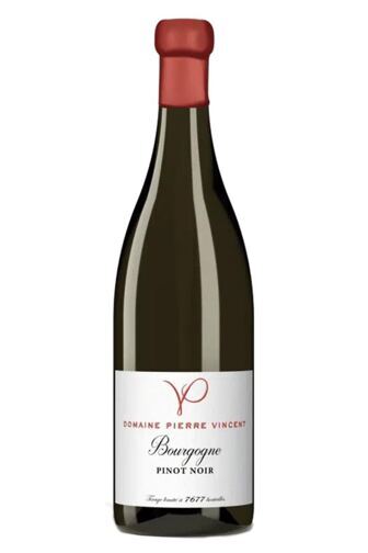 2023 Bourgogne Pinot Noir