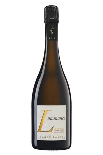 2019 Luminance