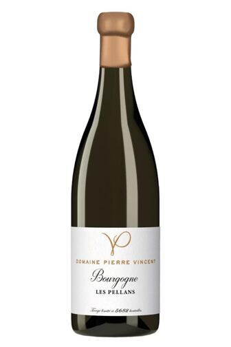 2024 Bourgogne Blanc Les Pellans