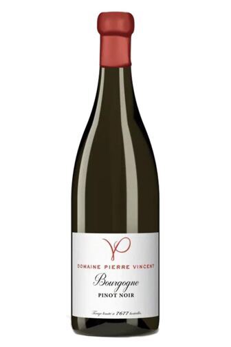 2024 Bourgogne Pinot Noir