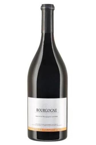 2024 Bourgogne Côte d'Or