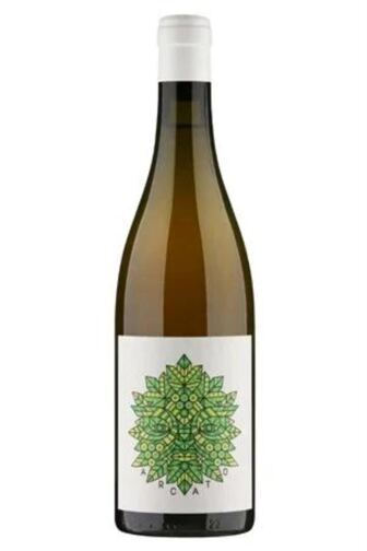 Arcato Vino Bianco L2023