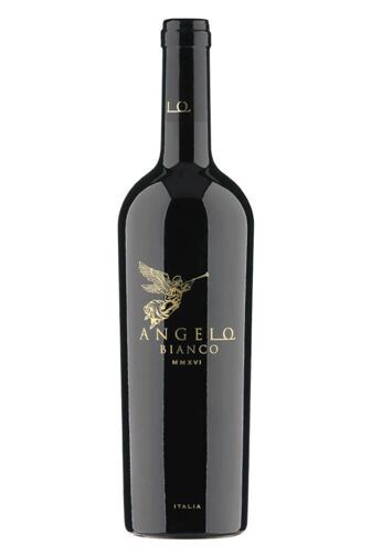2024 Angelo Bianco