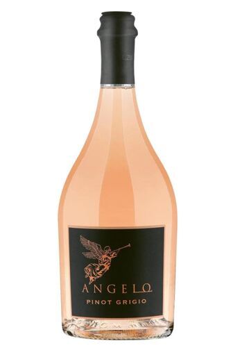 2025 Pinot Grigio Rosé