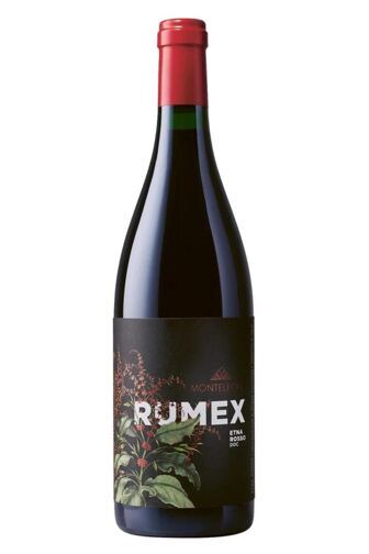 2023 Rumex