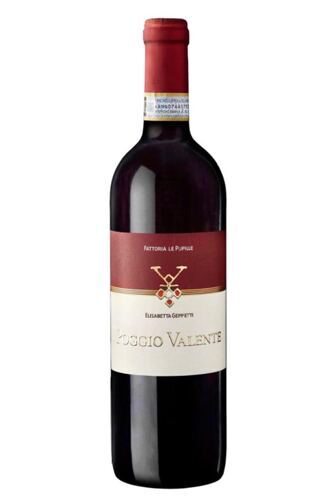 2023 Poggio Valente