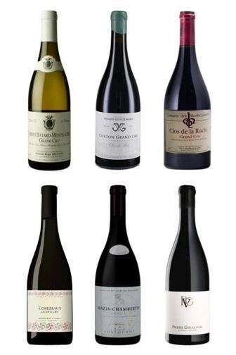 Grand Cru Raritäten aus dem Burgund