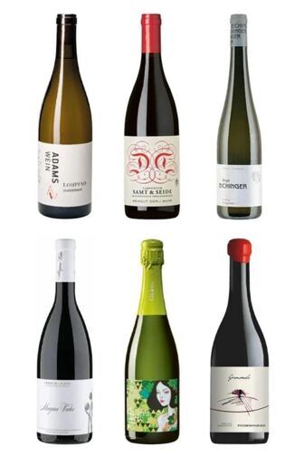 Frauenpower pur - 6 Winzerinnen, 6 geniale Weine