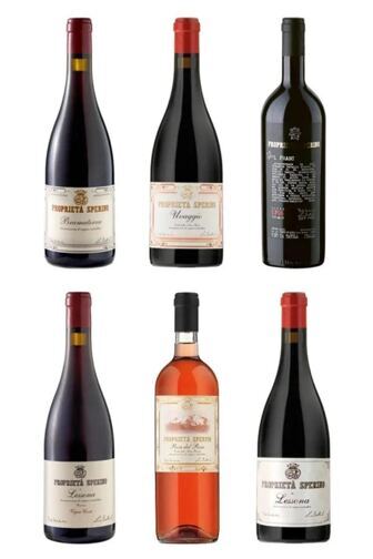 Proprietà Sperino - Traumhafte Nebbiolo-Eleganz vom Fusse der Alpen