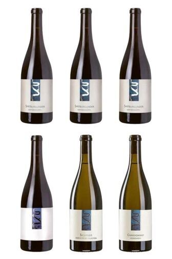 Weingut Östreicher - Einzigartige Charakterweine aus Franken
