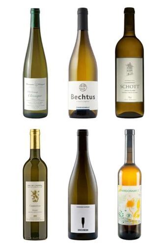 6 verschiedene Chardonnay aus 6 verschiedenen Gebieten aus der Schweiz