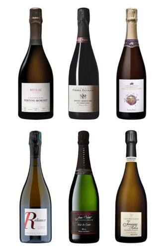 6 charaktervolle Winzer-Champagner zum Entdecken.