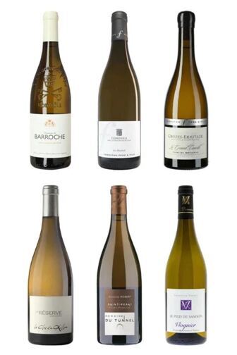 Geniale Weissweine aus dem Rhône-Tal