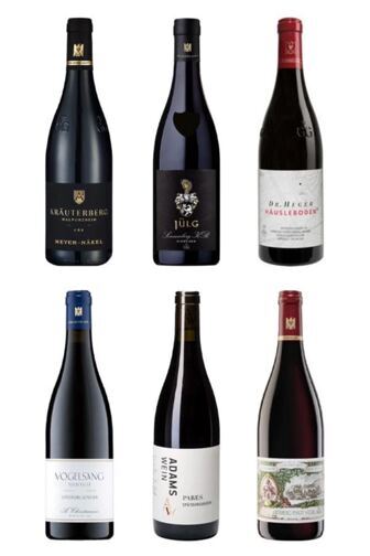 Top-Pinots aus Deutschland