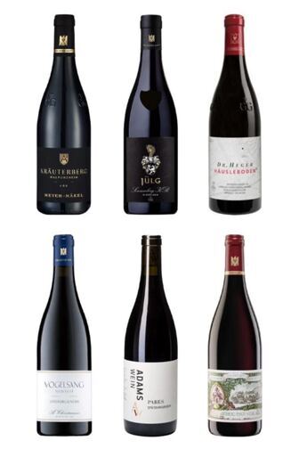Top-Pinots aus Deutschland