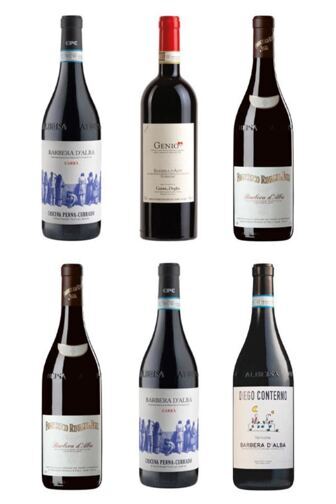 Eine Reise durch die Barbera Welt