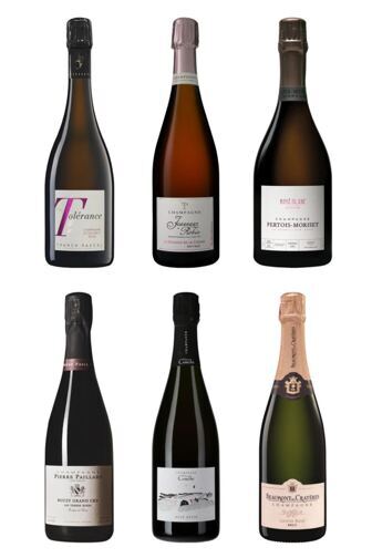 6 Rosé-Champagner für den festlichen Tisch