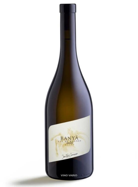 2024 BANYA Val de Bagnes   *BIO*