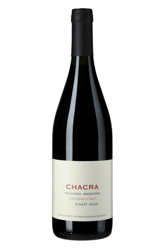 2024 Cincuenta y Cinco